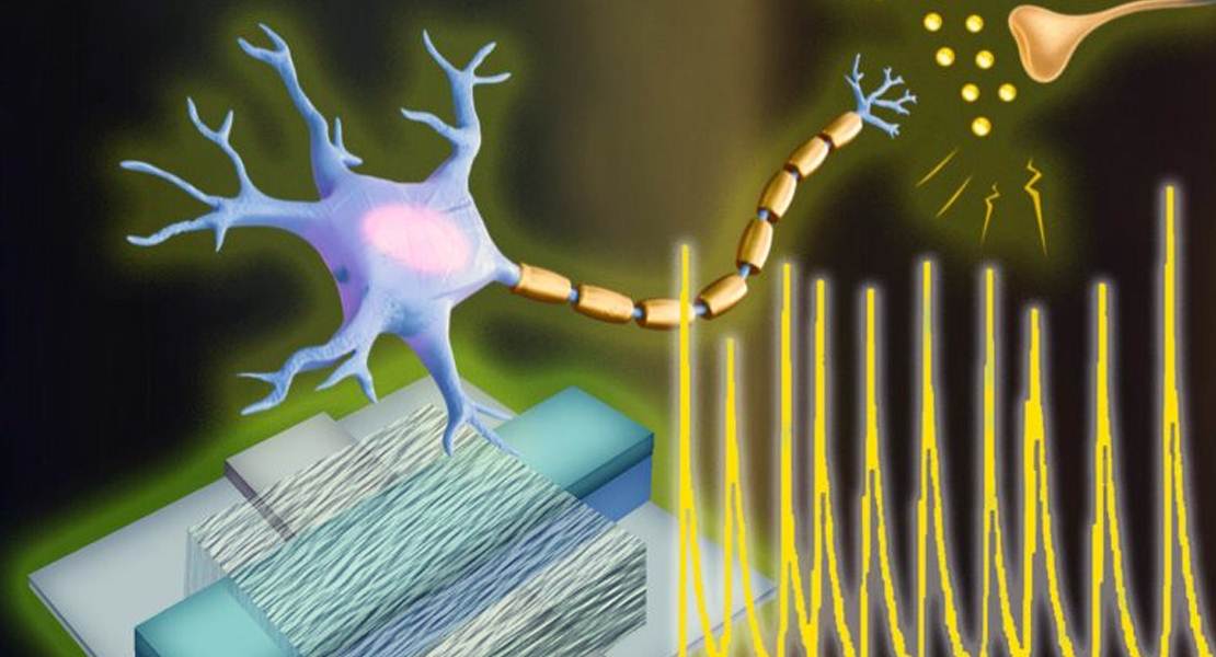 Neurone artificiale bio-compatibile