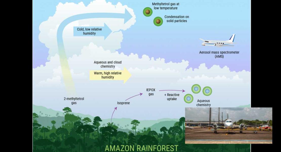 I gas prodotti dalla foresta pluviale amazzonica
