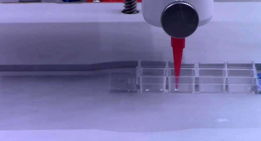 Biostampa 3D di cellule vegetali