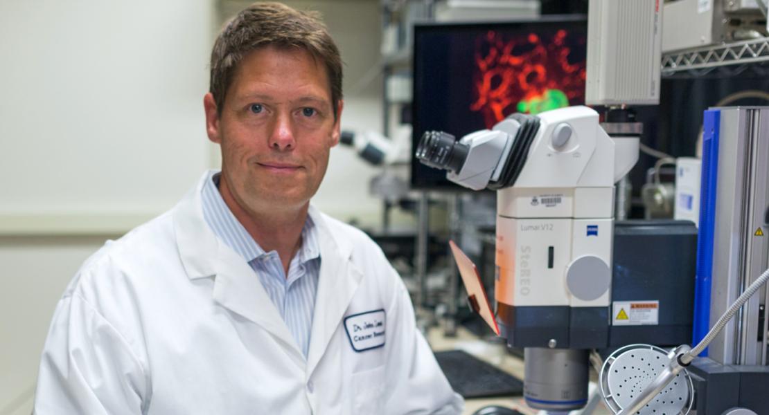 Meccanismi di diffusione delle cellule tumorali