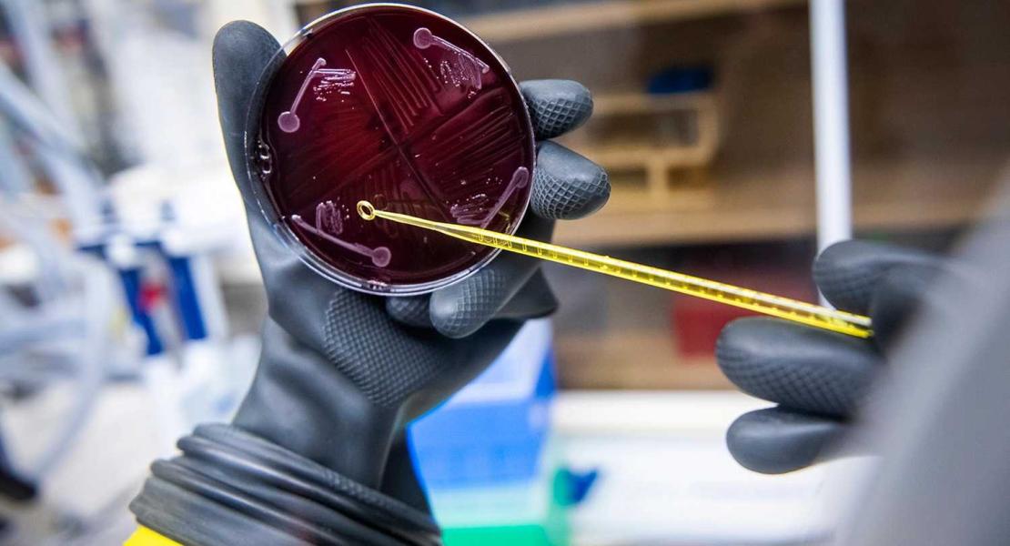 Costruito il microbioma sintetico più complesso e completo