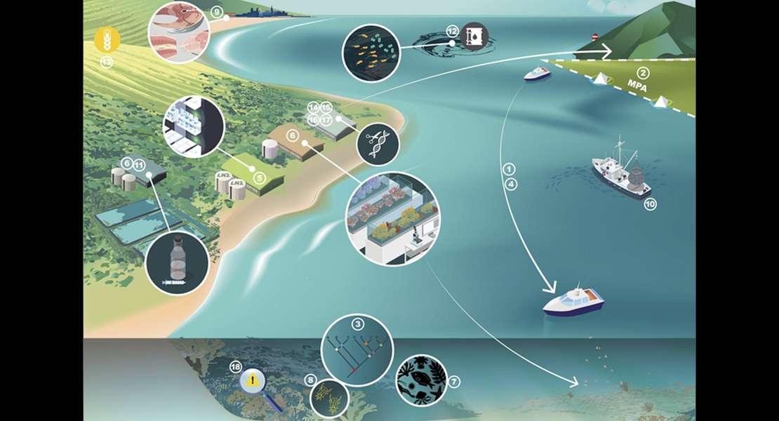 Approcci genomici avanzati per la conservazione marina