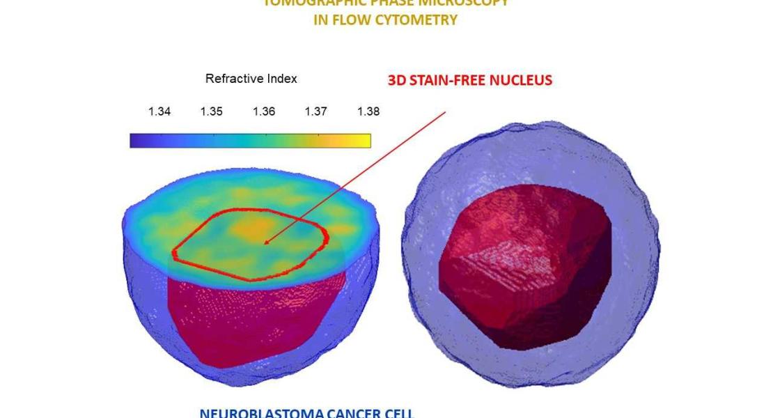 Diagnosticare in 3D il nucleo di singole cellule tumorali