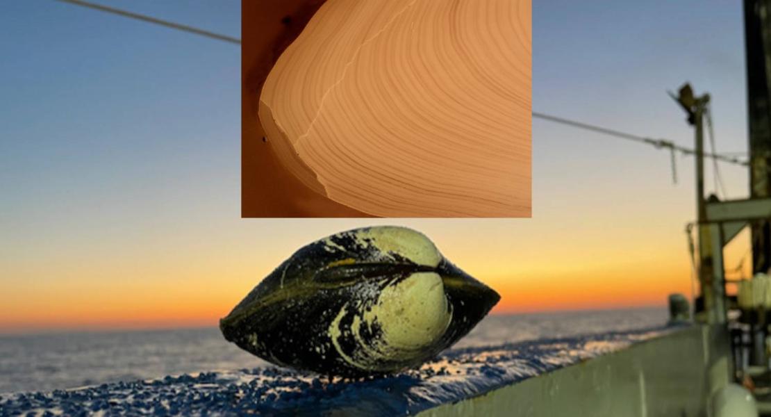 Il riscaldamento nel Golfo del Maine