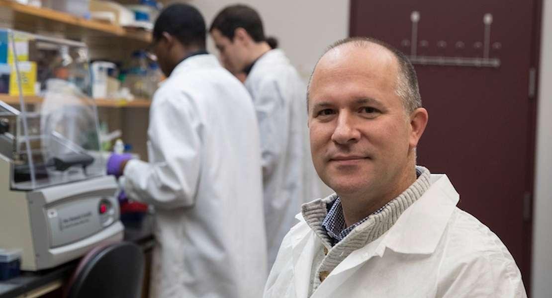 Clostridioides difficile può causare gravi infezioni