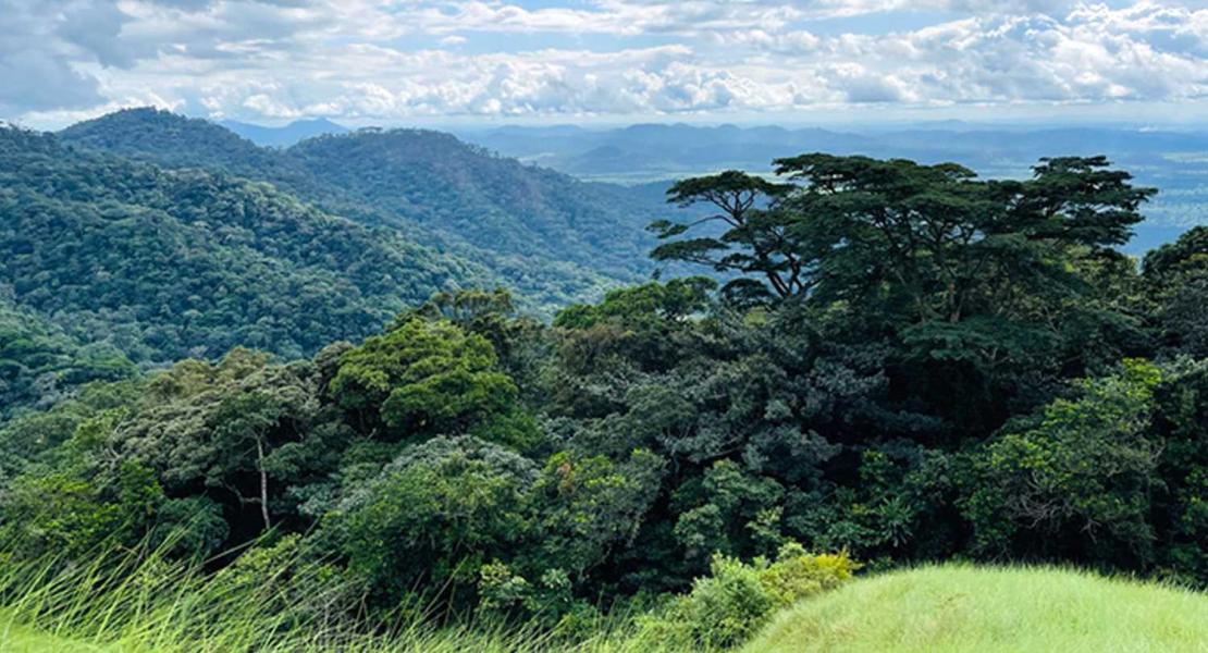 Riserva Naturale del Monte Nimba