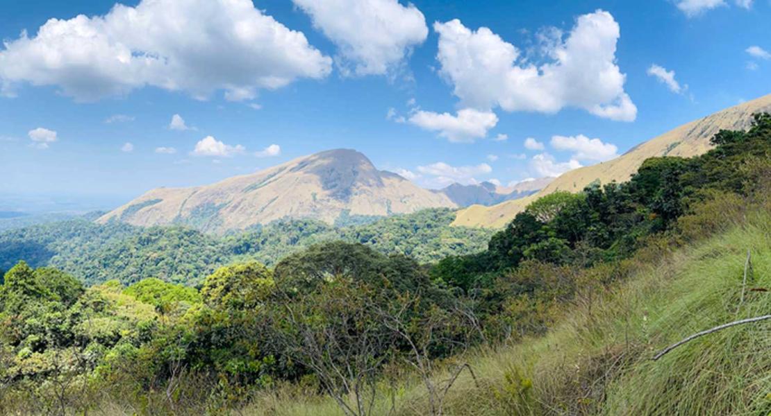 Riserva Naturale del Monte Nimba