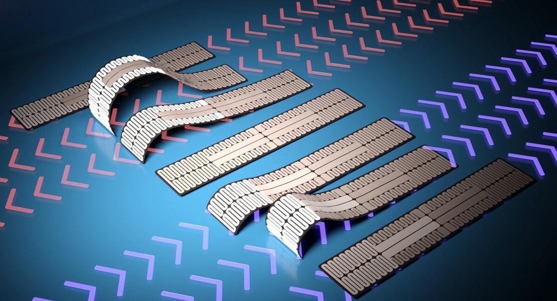 Robot caterpillar adatto alla locomozione per la robotica morbida
