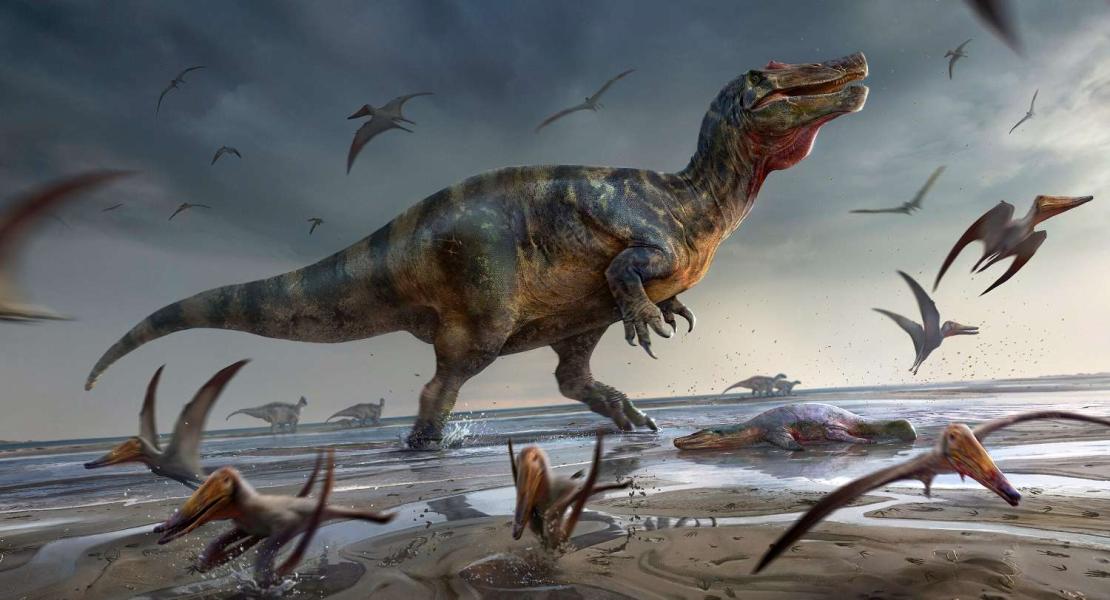 Il più grande predatore preistorico d'Europa