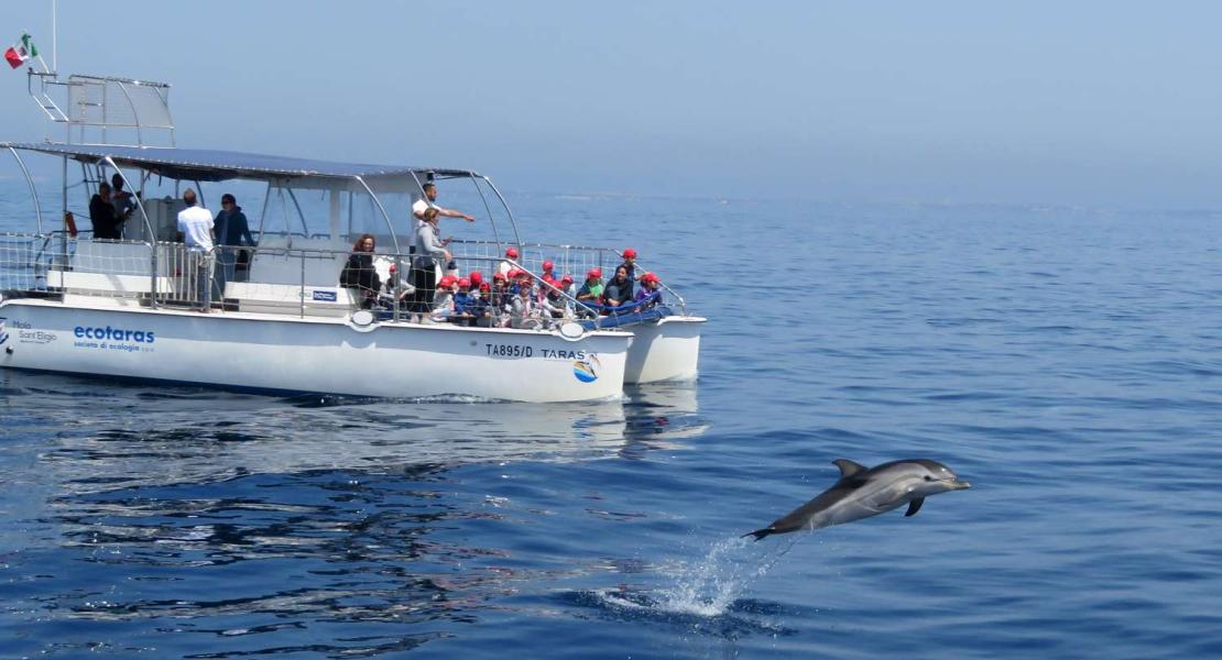Attività di Citizen Science svolte dalla Jonian Dolphin Conservation nel Golfo di Taranto