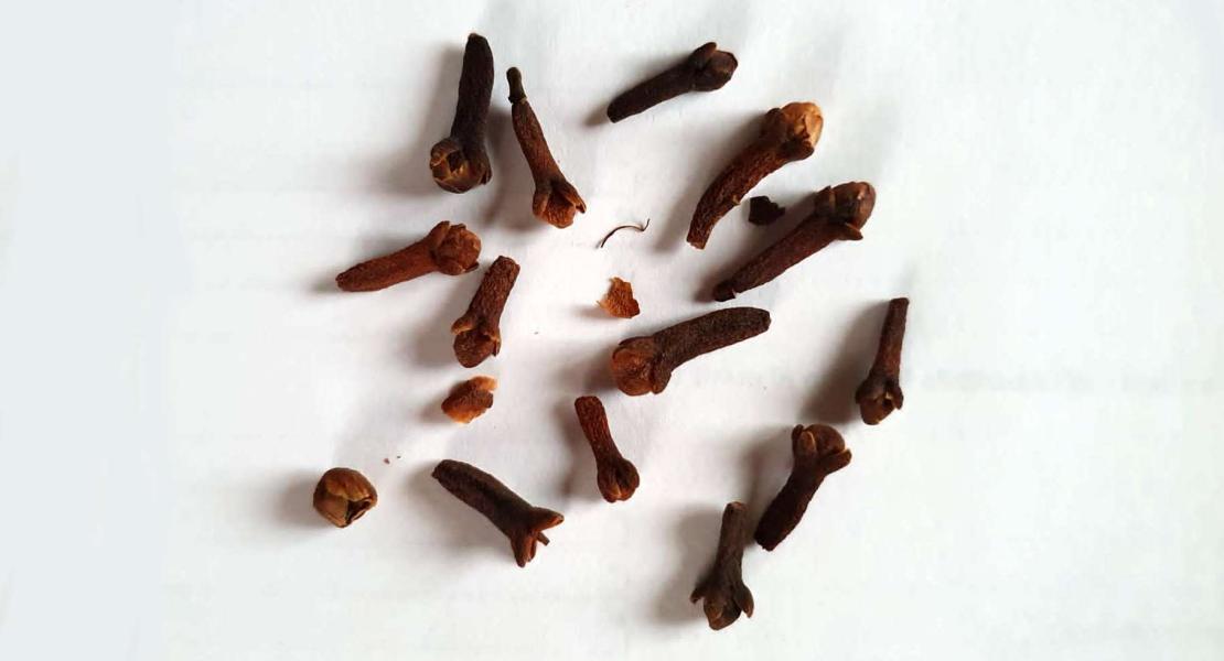 Chiodi di garofano per il mal di denti