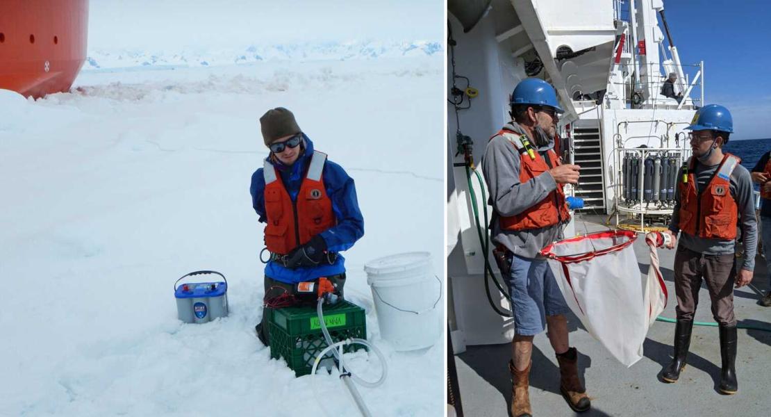 Lipidi planctonici alterati dai cambiamenti climatici