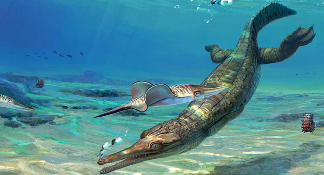 Scoperto un antico coccodrillo marino
