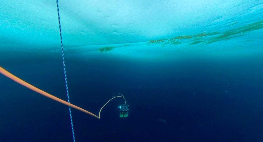 ROV sotto il ghiaccio con chiazze di alghe Melosira (Foto: Lianna Nixon)
