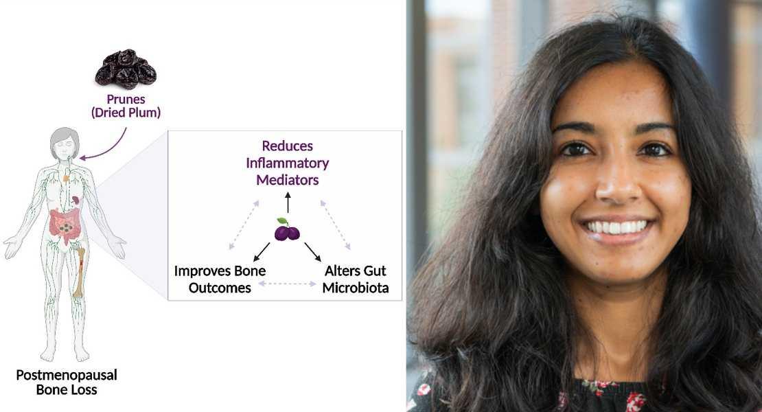 Janhavi Damani, MS, Pennsylvania State University