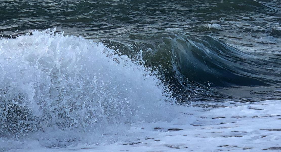 Entropia nell'acqua diminuita dai campi elettrici