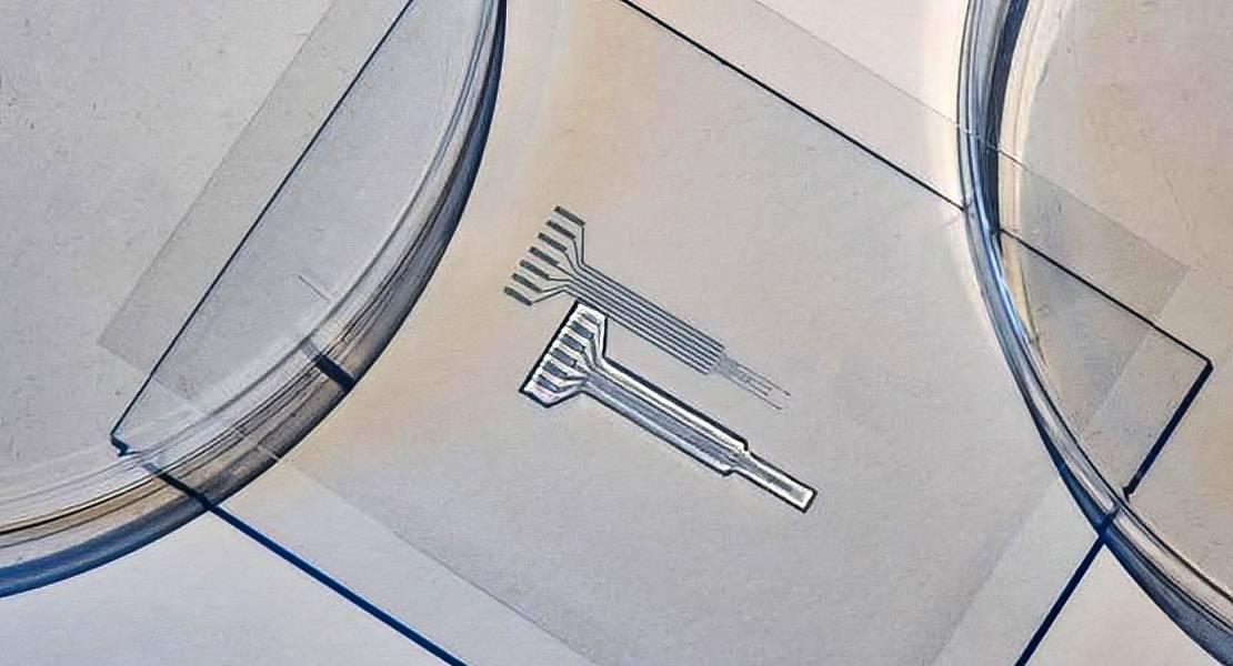 Elettrodo morbido stampabile e privo di metallo