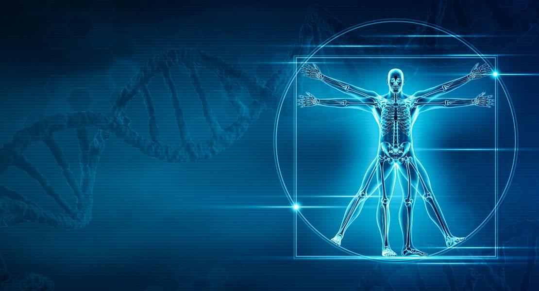 Identificati i geni che danno forma alle ossa