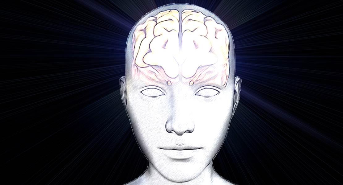 Come il cervello elabora e memorizza le parole che ascoltiamo