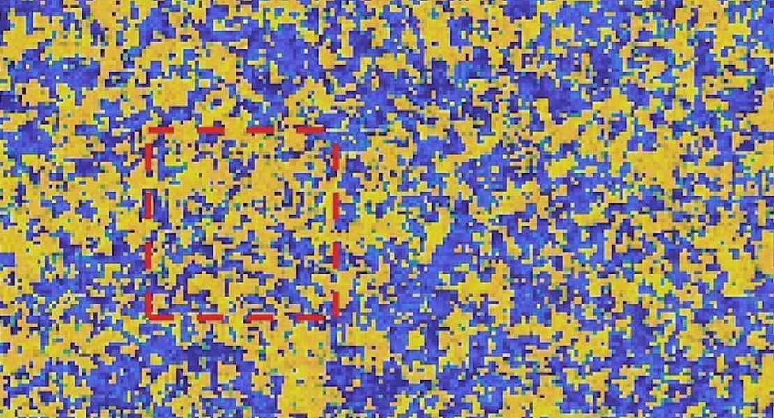 Trovare la struttura nella statica del cervello