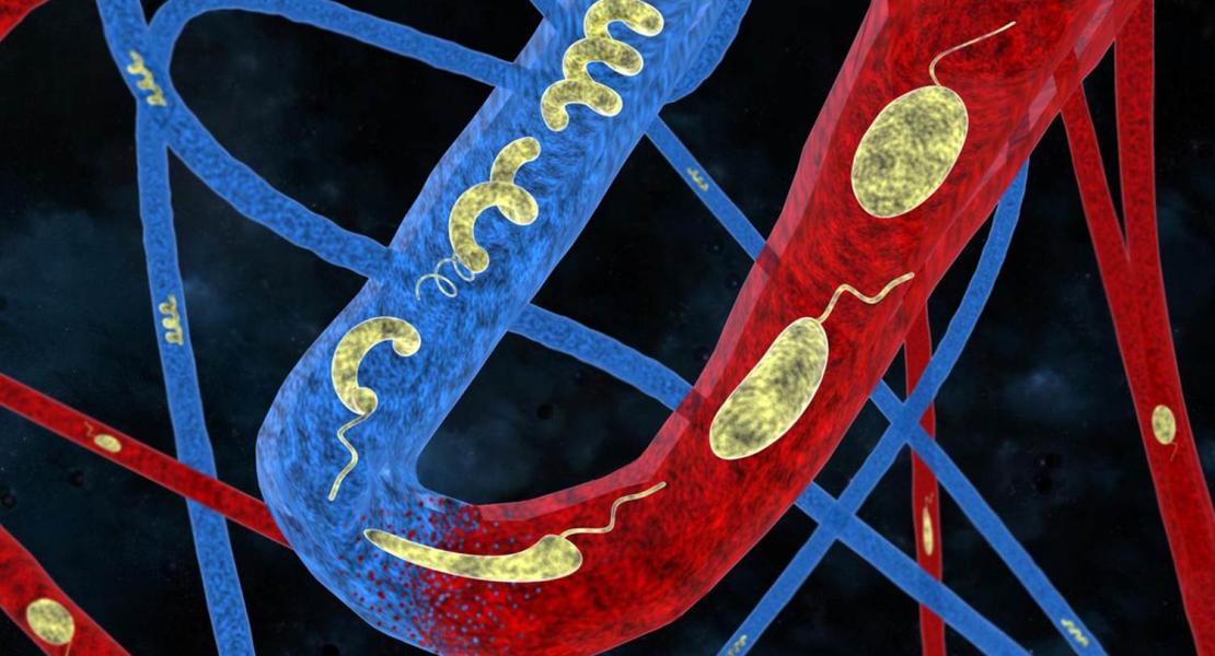 I robot sono modellati sui batteri e sono completamente biocompatibili