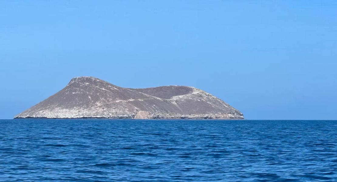 Isola di Daphne Major