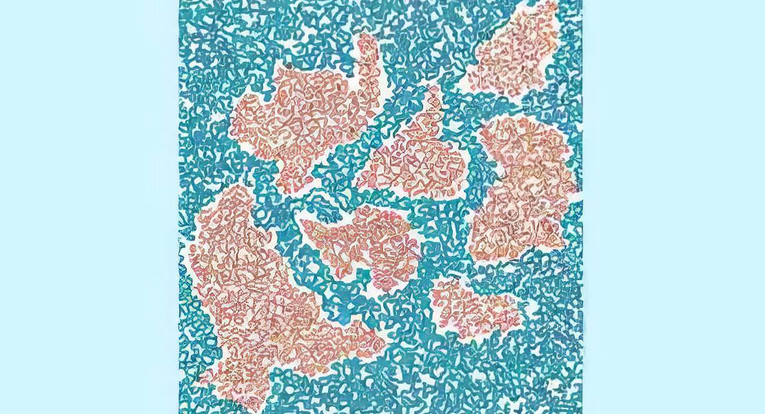 Continenti e gli oceani della Terra come doppia elica del DNA