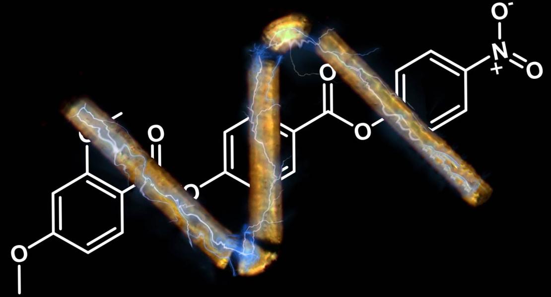 Cristallo liquido nematico ferroelettrico