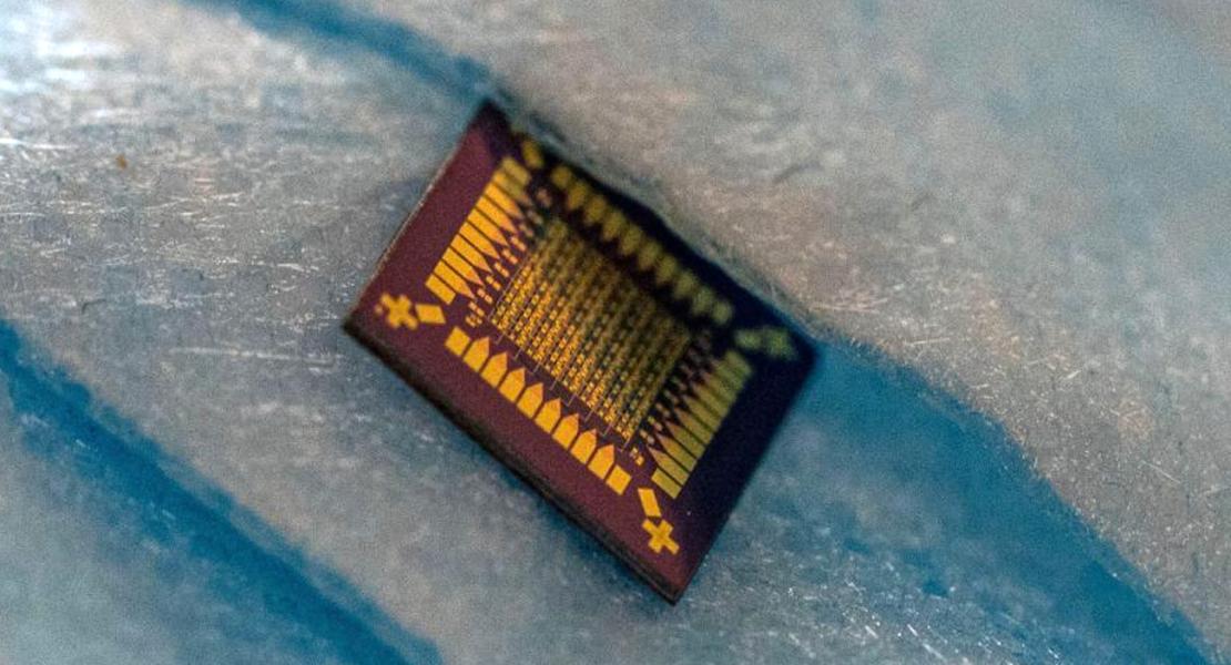 Transistor biologico ibrido