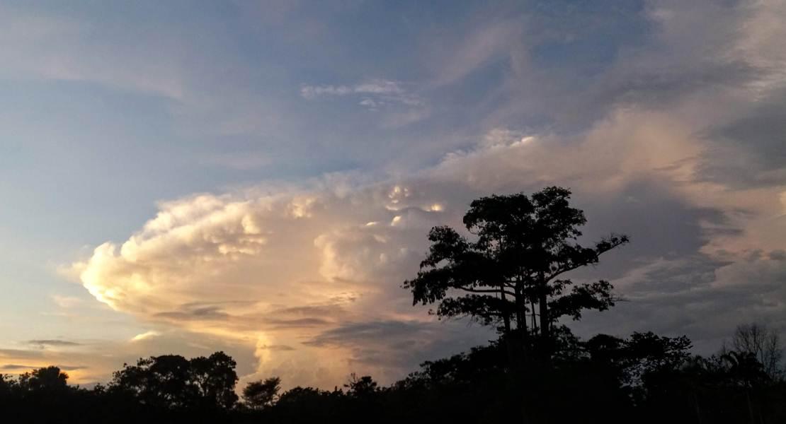 Una tempesta del tardo pomeriggio sopra una foresta, Yamoussoukro, Costa d'Avorio