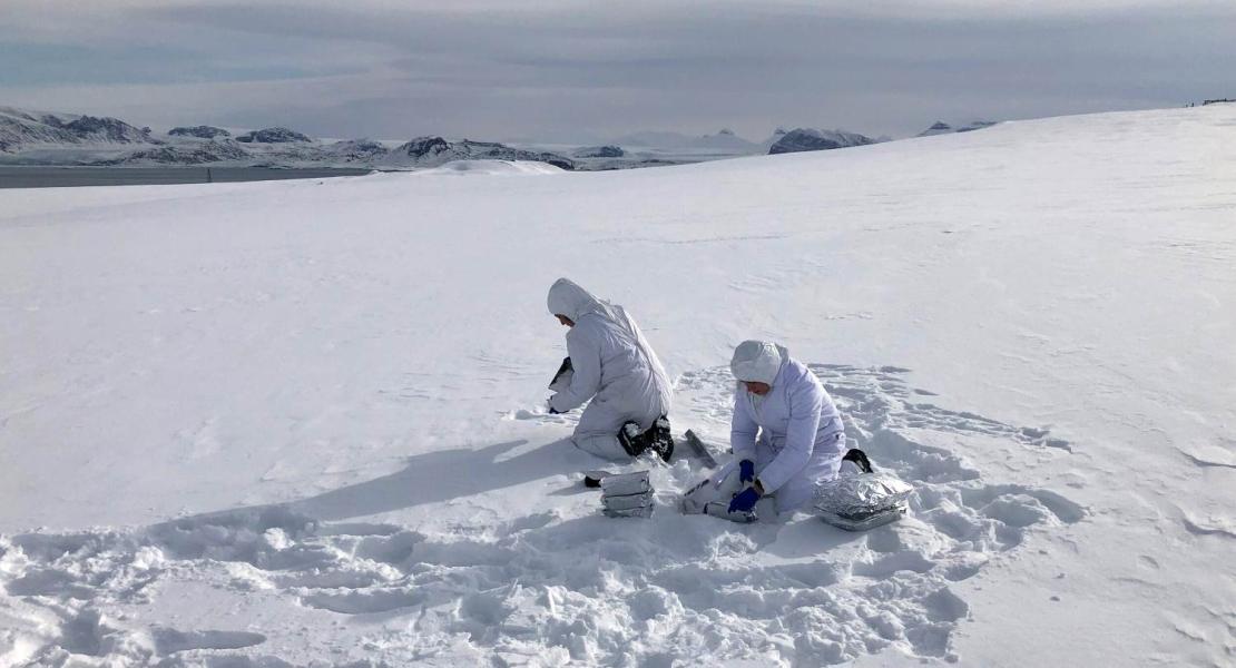 Attività di campionamento di neve a Ny-Ålesund, Isole Svalbard.