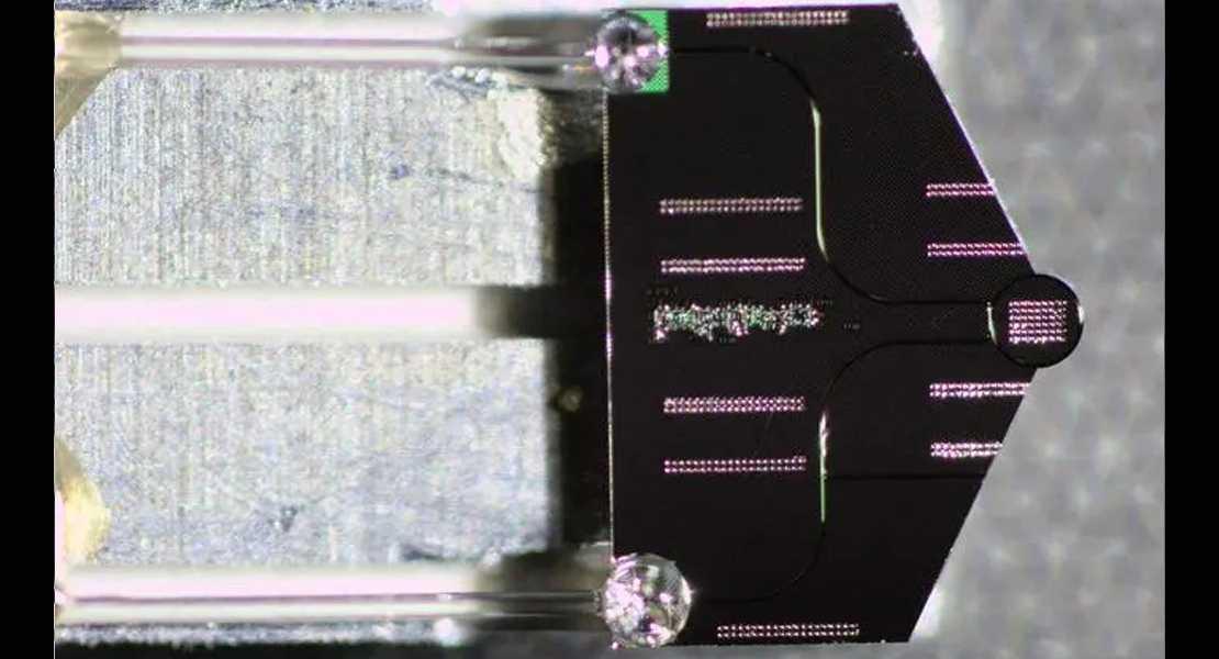 Chip fotonico utilizzato in questo studio, montato su un portacampioni per microscopio elettronico a trasmissione e confezionato con fibre ottiche.