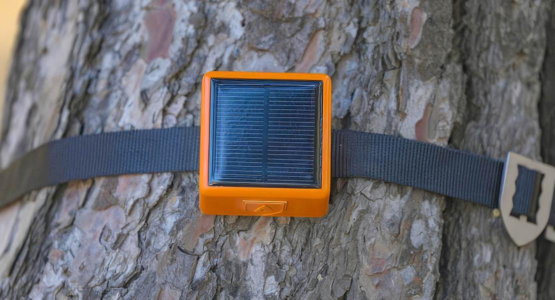 Sensore del sistema ForestGuard montato su un albero.