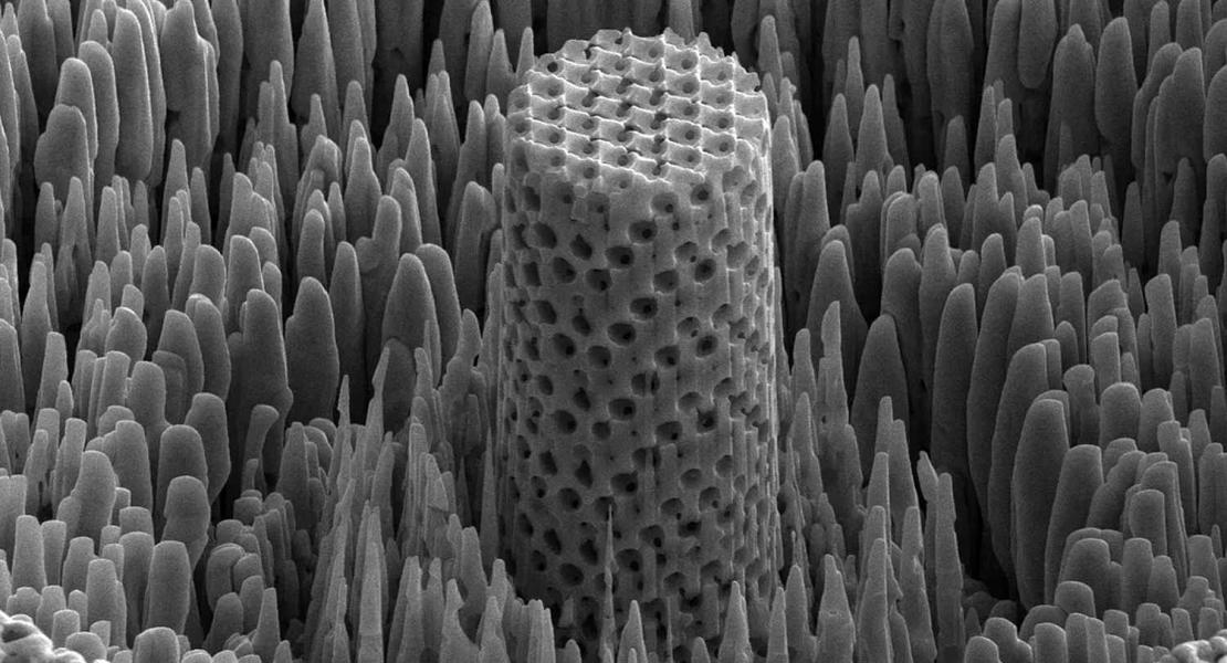 Un campione microscopico del "legno metallico
