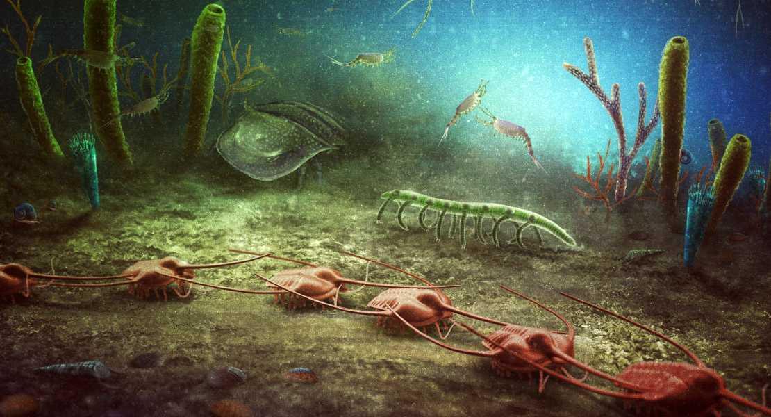 Ricostruzione artistica della Biota di Cabrières