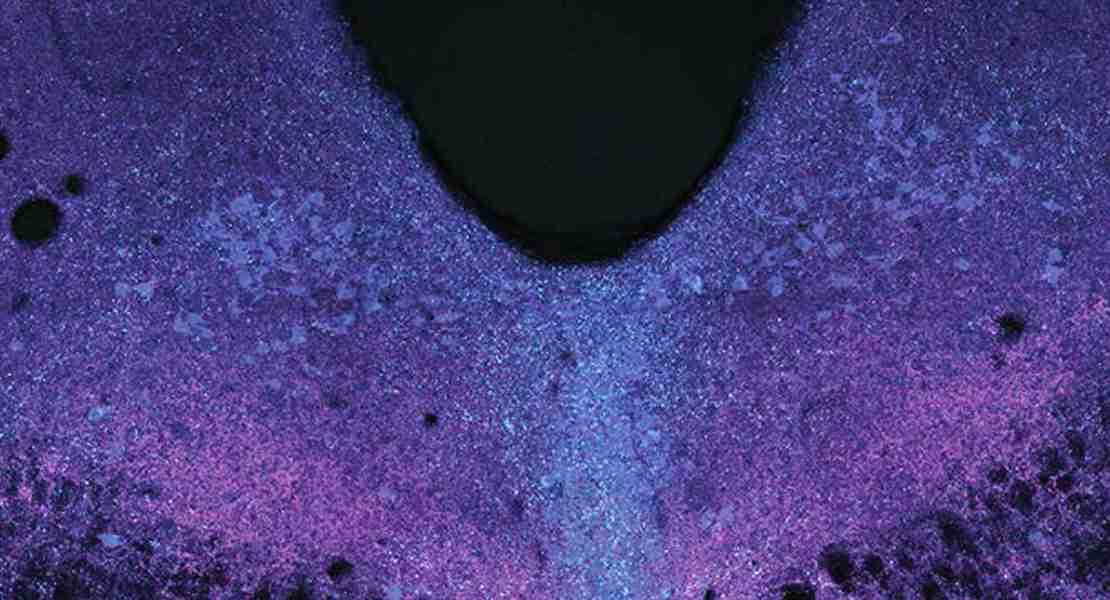 L'area dorsale del rafe del cervello viene ripresa mediante microscopia confocale.