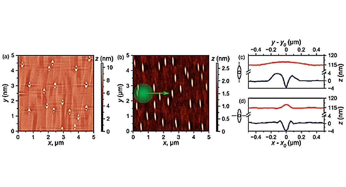 Immagini al microscopio a forza atomica di punti quantici non stressati