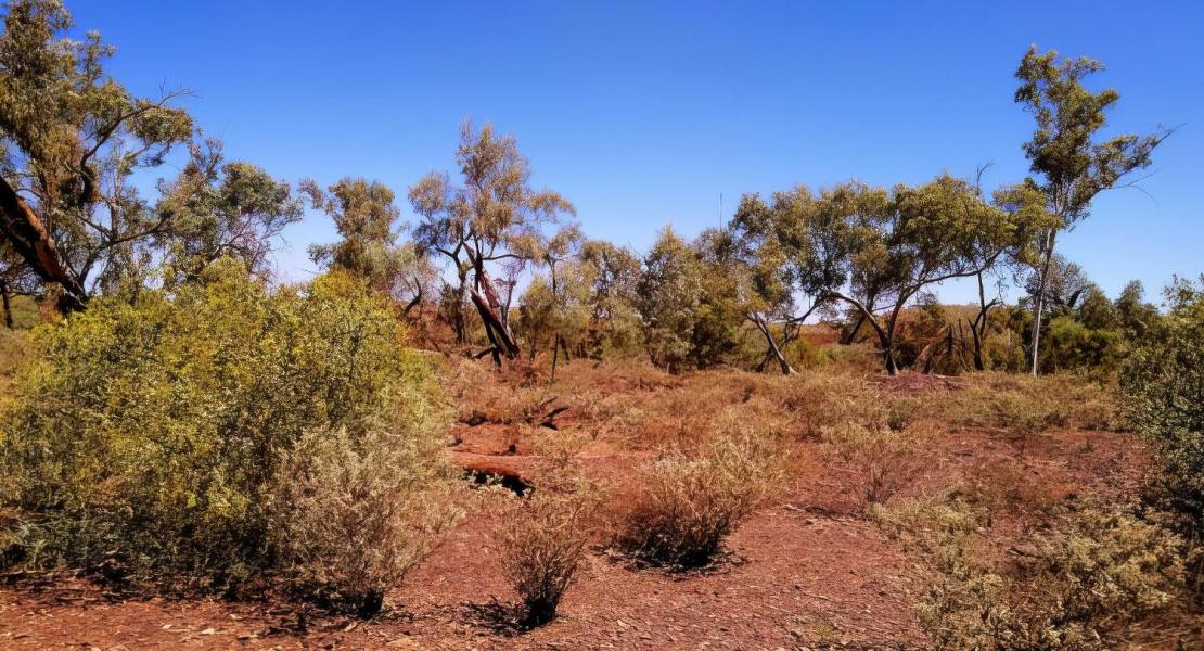 Un panorama generale della regione di Pilbara.