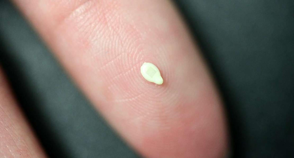 Una matrice di transistor ad alta densità collegata a un singolo seme di sesamo bianco con 1.000 transistor in un'area di 1 mm2 su un polpastrello.