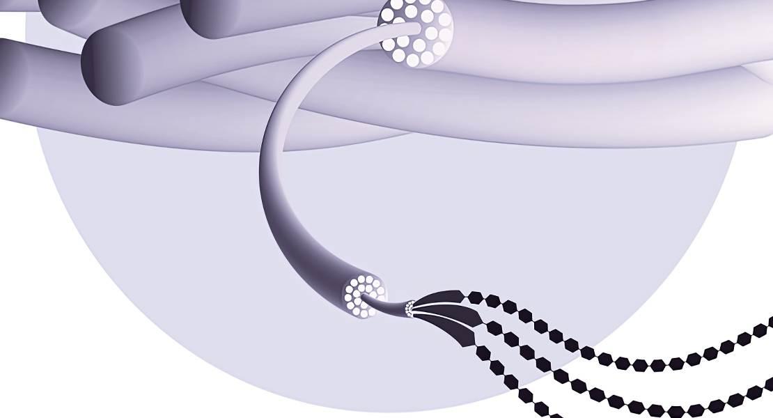 Nanocellulosa