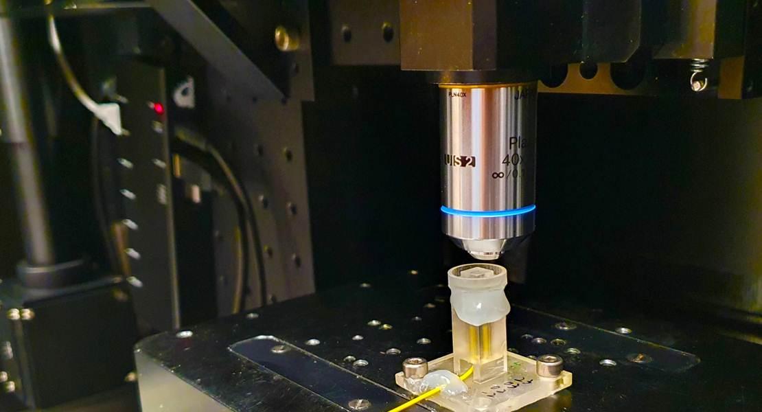 Sulla stampante 3D è installato un cavo in fibra ottica.