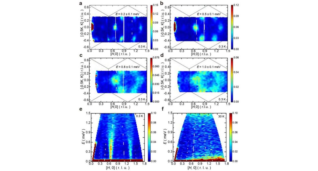Eccitazioni di spin in YCu3(OD)6[Br0.33(OD)0.67] misurate tramite la diffusione dei neutroni. e,f, grafici del contorno dell'intensità dei risultati dell'INS in funzione di E e Q lungo la direzione [H, 0] a 0,3 K (e) e 30 K (f).