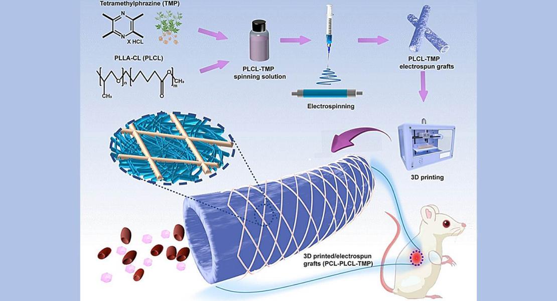 Innesto vascolare elettrofilato stampato in 3D