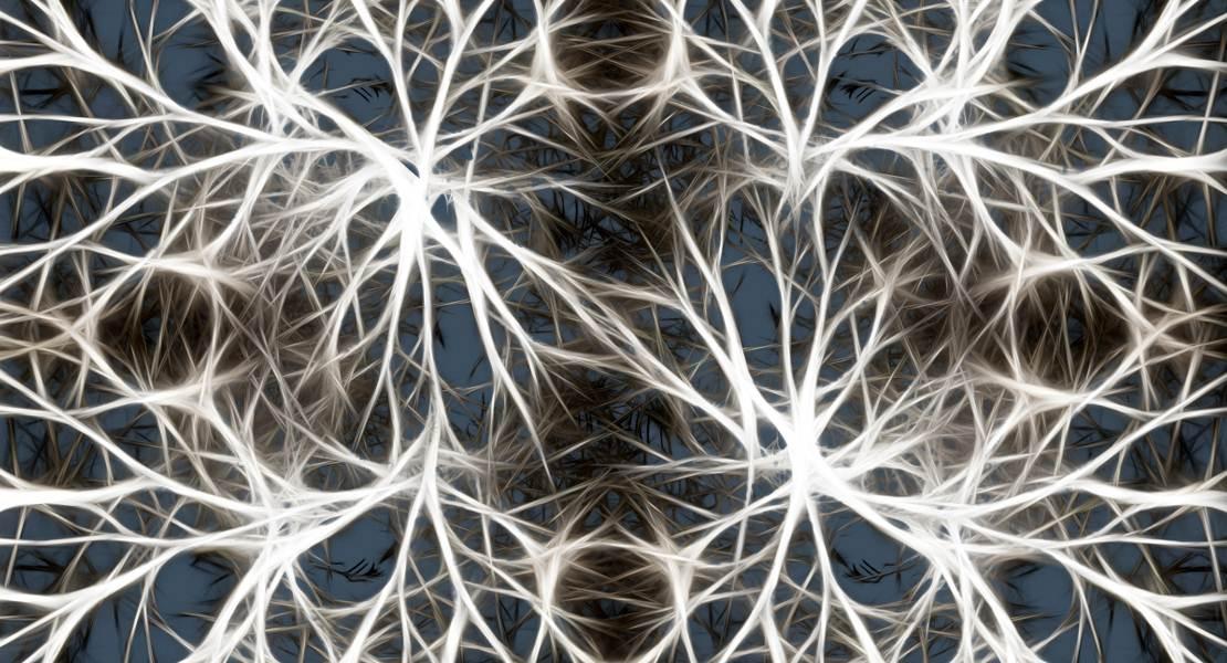 Neuroni