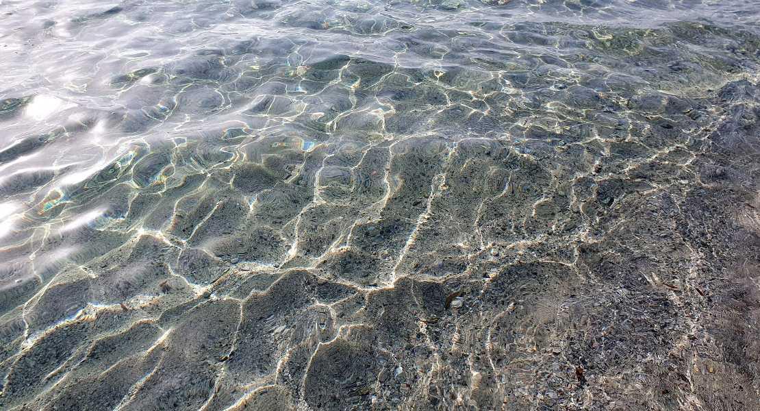Fondale marino immortalato in Sardegna