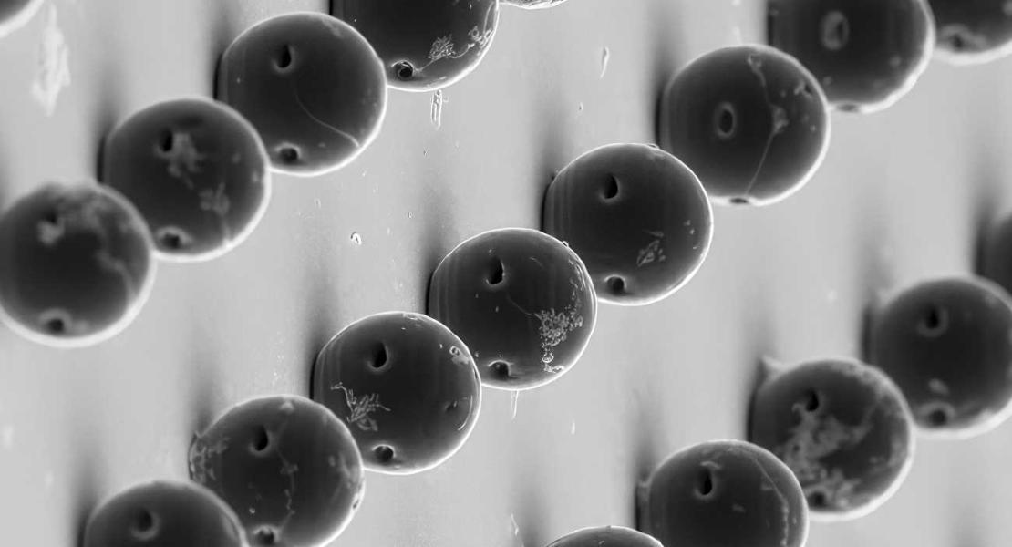 Immagine al microscopio elettronico a scansione dei microrobot acustici di idrogel acustico bioriassorbibile.