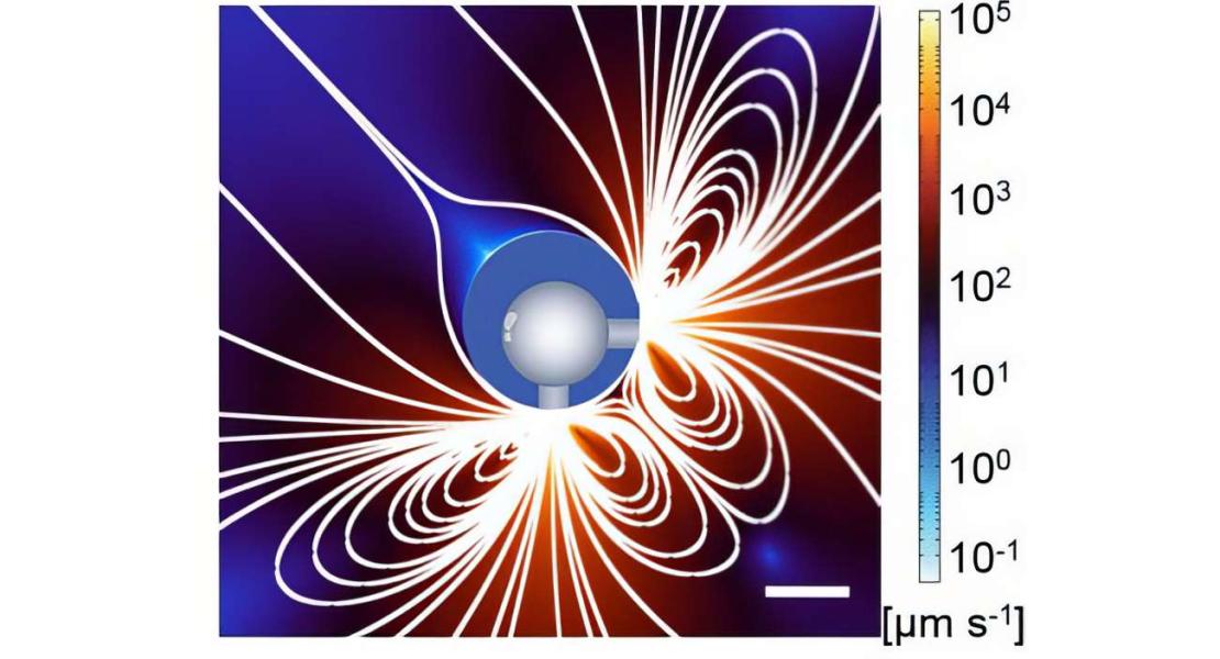I modelli di flusso generati da un microrobot acustico di idrogel che vibra alla sua frequenza ottimale sono stati analizzati utilizzando metodi avanzati, tra cui il tracciamento di minuscole particelle nell'acqua e simulazioni basate su computer. Qui è chiaramente visibile la posizione delle due aperture del microrobot.