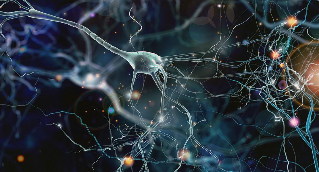 Neuroni sintetici