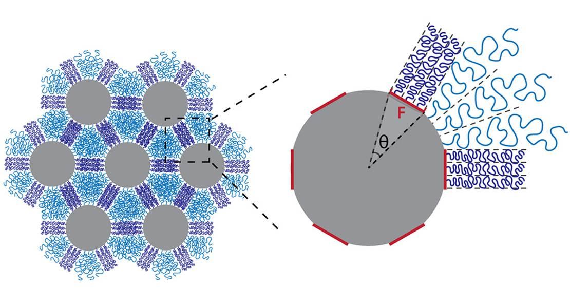 Nanoparticelle di silice apposte con una distribuzione di catene di polistirene (viola) di sé in reticoli esagonali. A seconda di come le catene sono organizzate sulla superficie delle particelle, si aggrovigliano (viola) o si uniscono (blu) quando sono compressi.