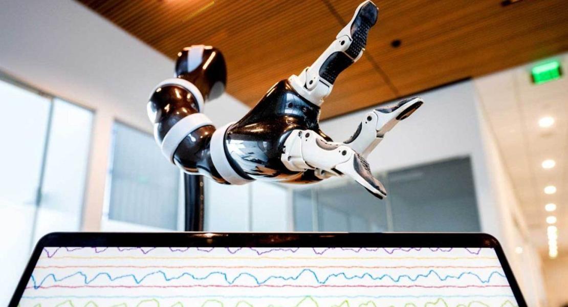 Braccio robotico